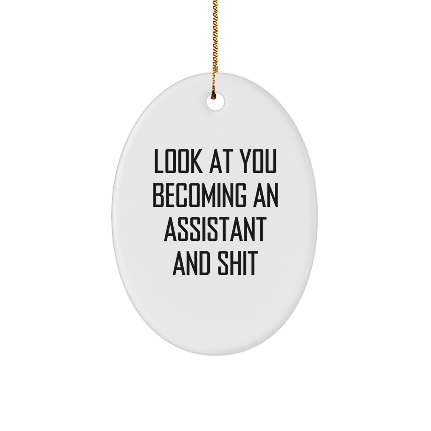 Funny Assistant Oval Ornament Gifts for Men Women Friends Coworkers Family - Unique Office Christmas Decorations - Image 1