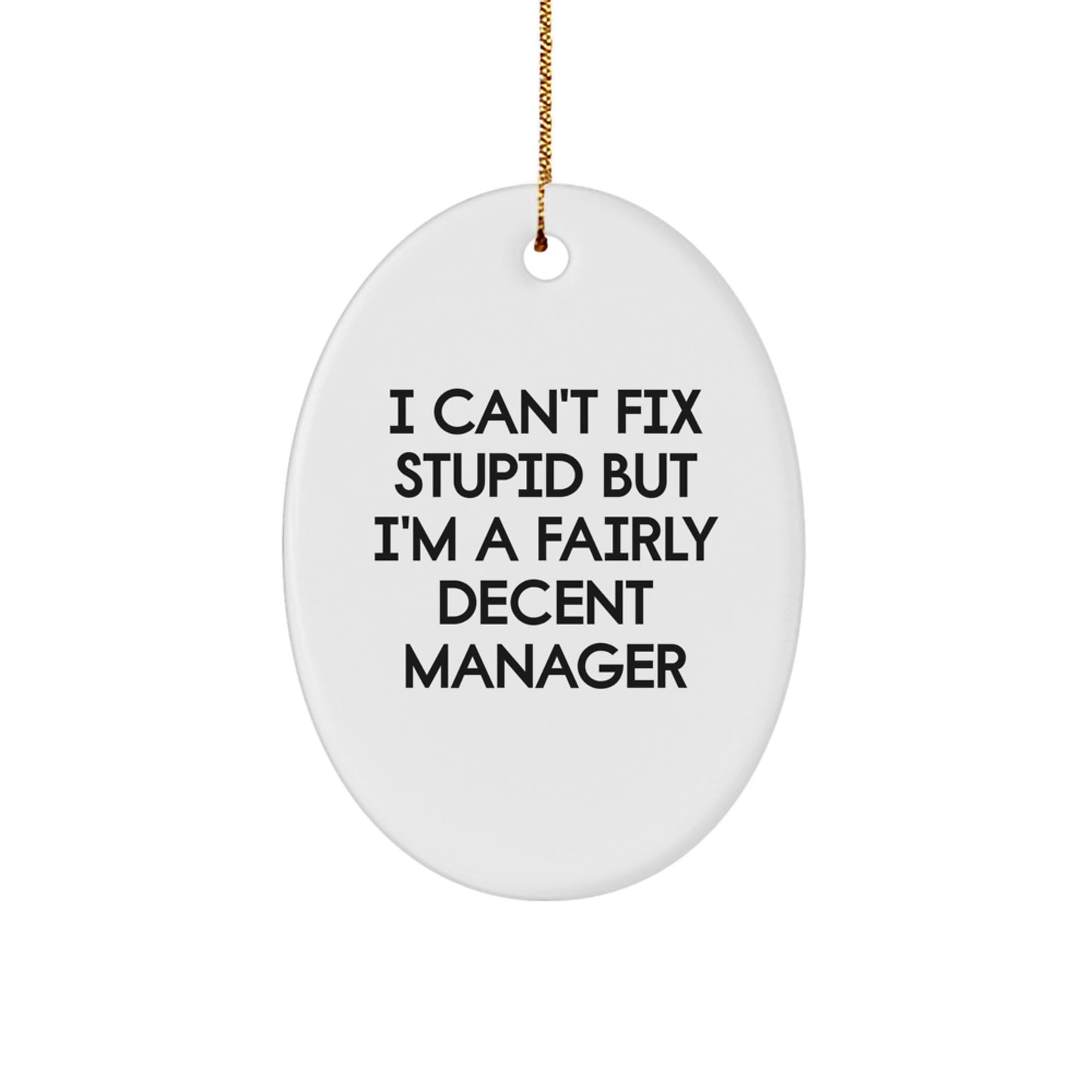 Funny Manager Oval Ornament Gifts from Men to Coworkers for Christmas Unique Decorations, Oval Shaped Oval Manager Gifts, I 'Can't Fix Stupid' Decent Manager Christmas Ornaments - Image 1
