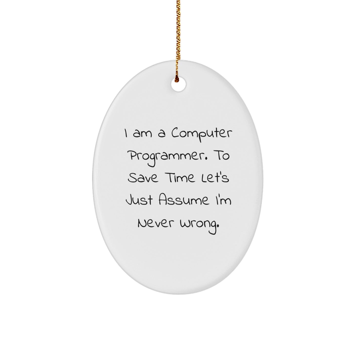 Funny Computer Programmer Oval Ornament Gifts from Friends for Men, Christmas Unique Gifts - Image 1