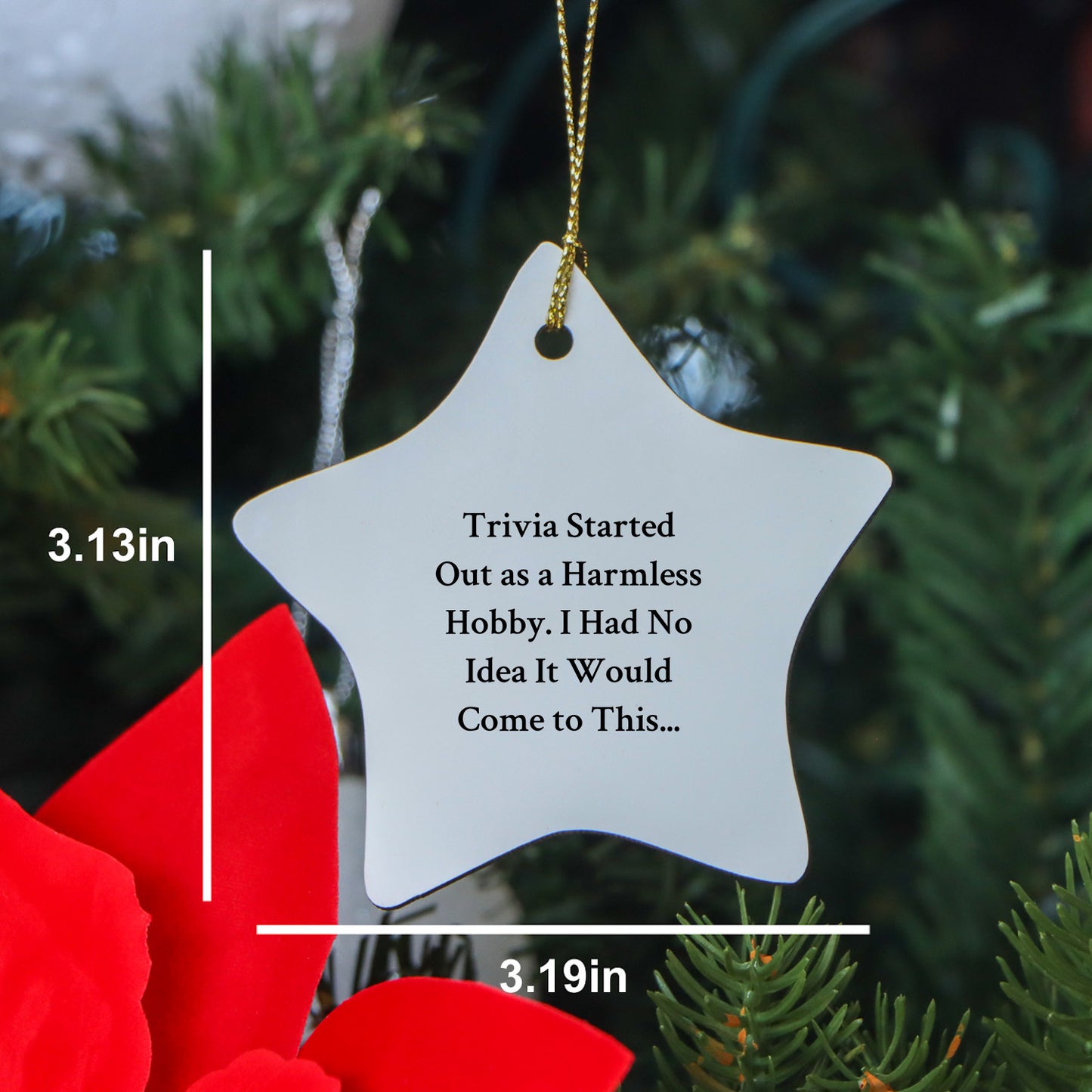 Trivia Started Out As A Harmless Hobby, Funny Star Ornament, Christmas Unique Gifts - Mallard Moon