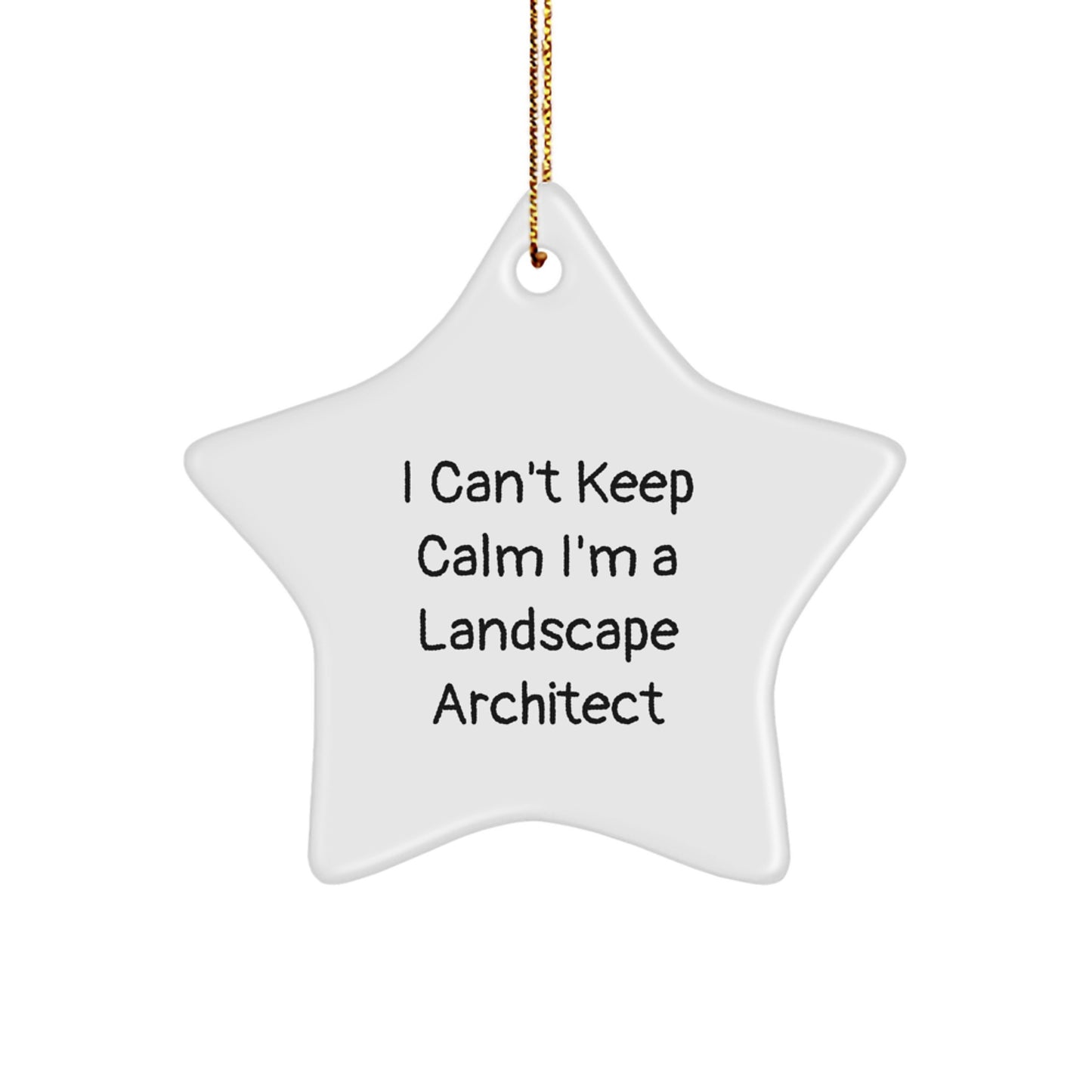 Unique Landscape Architect Gifts for Christmas - I Can't Keep Calm I'm A Landscape Architect Star Ornament from Friends - Image 1