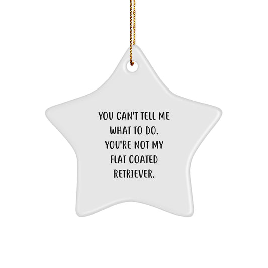Flat Coated Retriever Dog Star Ornament, Funny Quote Gifts for Men, Women, Friends, Coworkers, Family - You Can't Tell Me What To Do. You're Not My Flat Coated Retriever. - Christmas Unique Gifts - Image 1