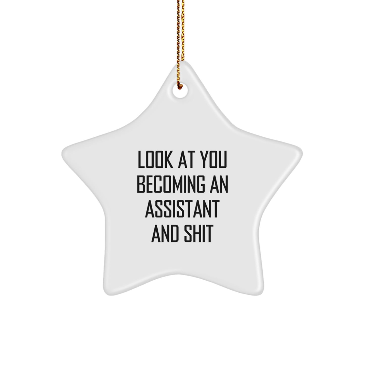 Funny Assistant Star Ornament Gifts from Family, Friends, or Coworkers to Assistant, Men, Women, or Kids at Christmas - Image 1