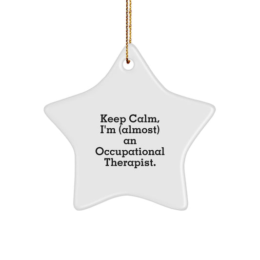 Funny Occupational Therapist Gifts from Friends - Star Ornament with Inspirational Quote - Christmas Unique Decorations for Occupational Therapist Offices - Image 1
