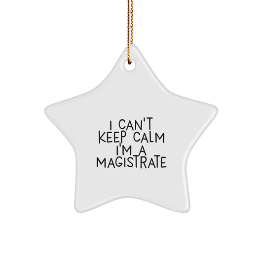 I'm a Magistrate Funny Christmas Unique Gifts for Magistrate Star Ornament from Friends, Funny Magistrate Gifts, Gifts from Friends for Magistrate Man - Image 1