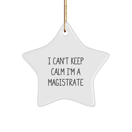 Funny Magistrate Gifts from Friends - I Can't Keep Calm I'm A Magistrate Star Ornament, White, Christmas Unique Gift for Magistrate Colleagues - Image 1