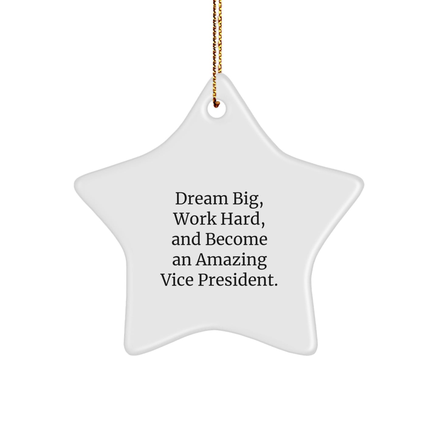 Vice President Star Ornament Gifts from Friends and Family for Men, Funny Inspirational Quote 'Dream Big, Work Hard, And Become An Amazing Vice President.' - Image 1