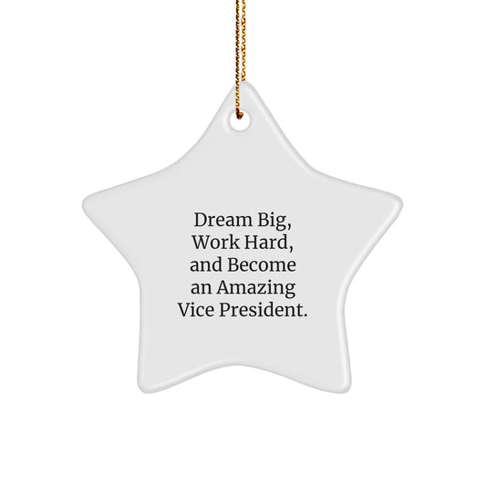 Vice President Star Ornament Gifts from Friends and Family for Men, Funny Inspirational Quote 'Dream Big, Work Hard, And Become An Amazing Vice President.' - Image 1