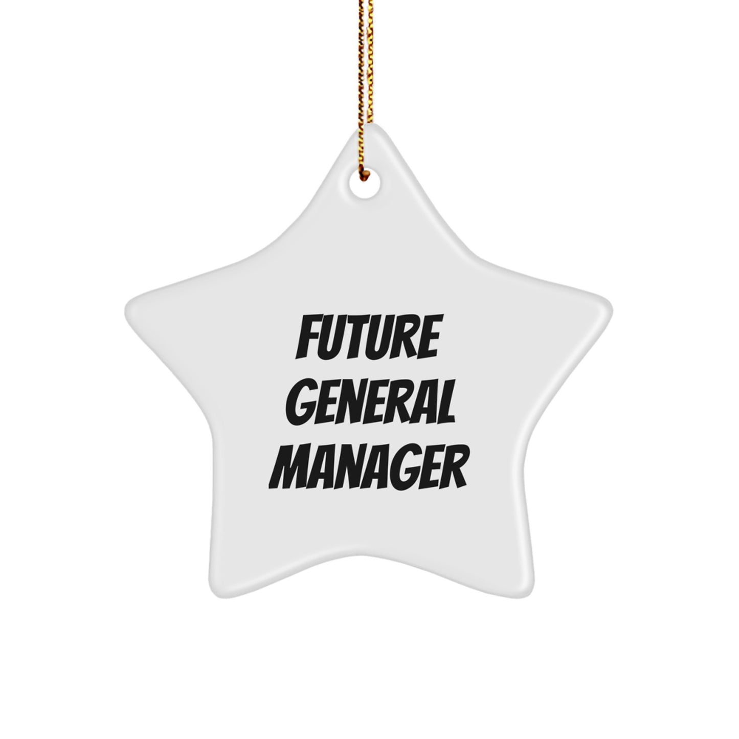 Funny General Manager Star Ornament Gifts from Friends for Future General Manager, 'Future is Bright', Christmas Unique Gifts