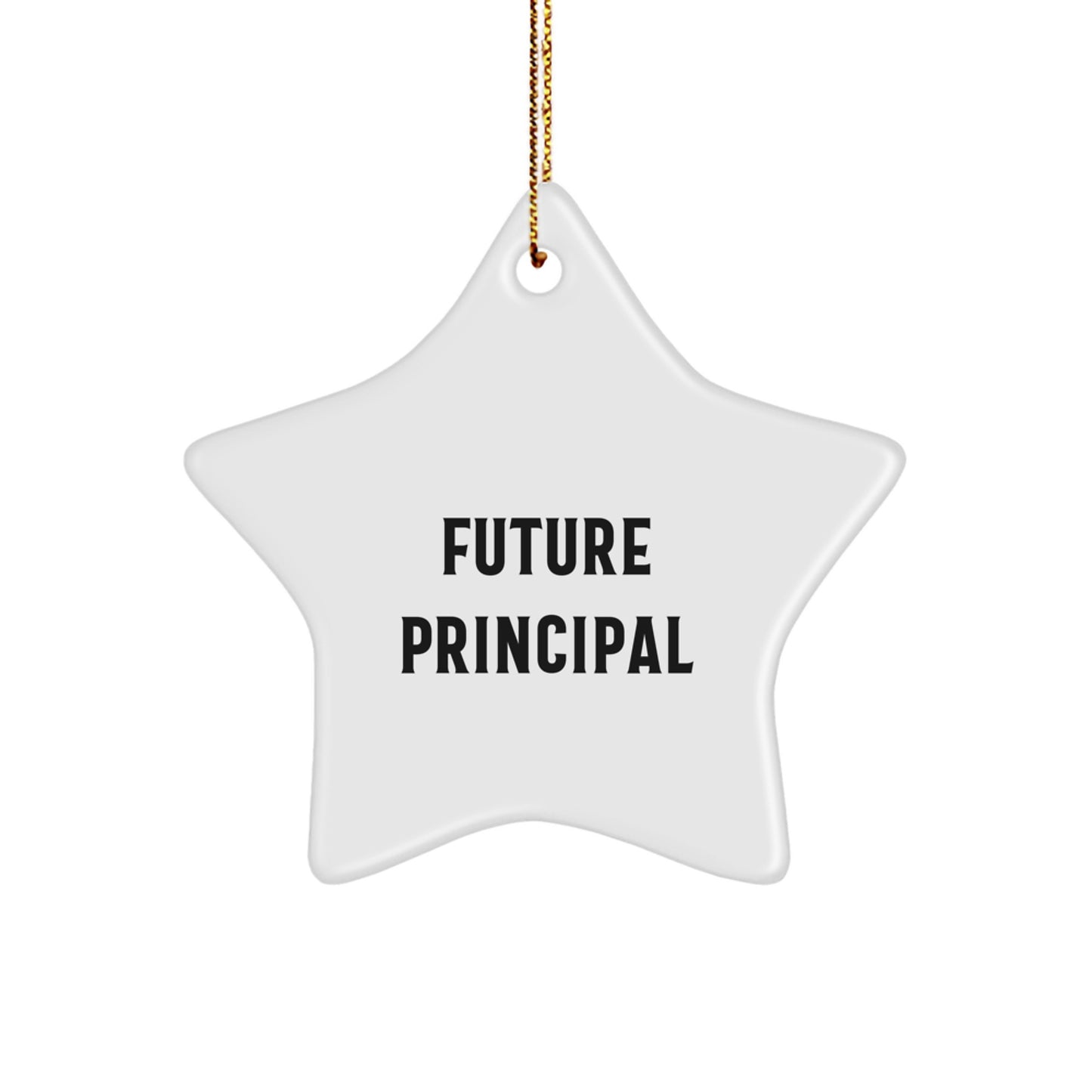 Funny Principal Gifts from Friends for Christmas - Star Ornament with Quote 'Future Principal' - Unique Christmas Unique Gifts for Principal