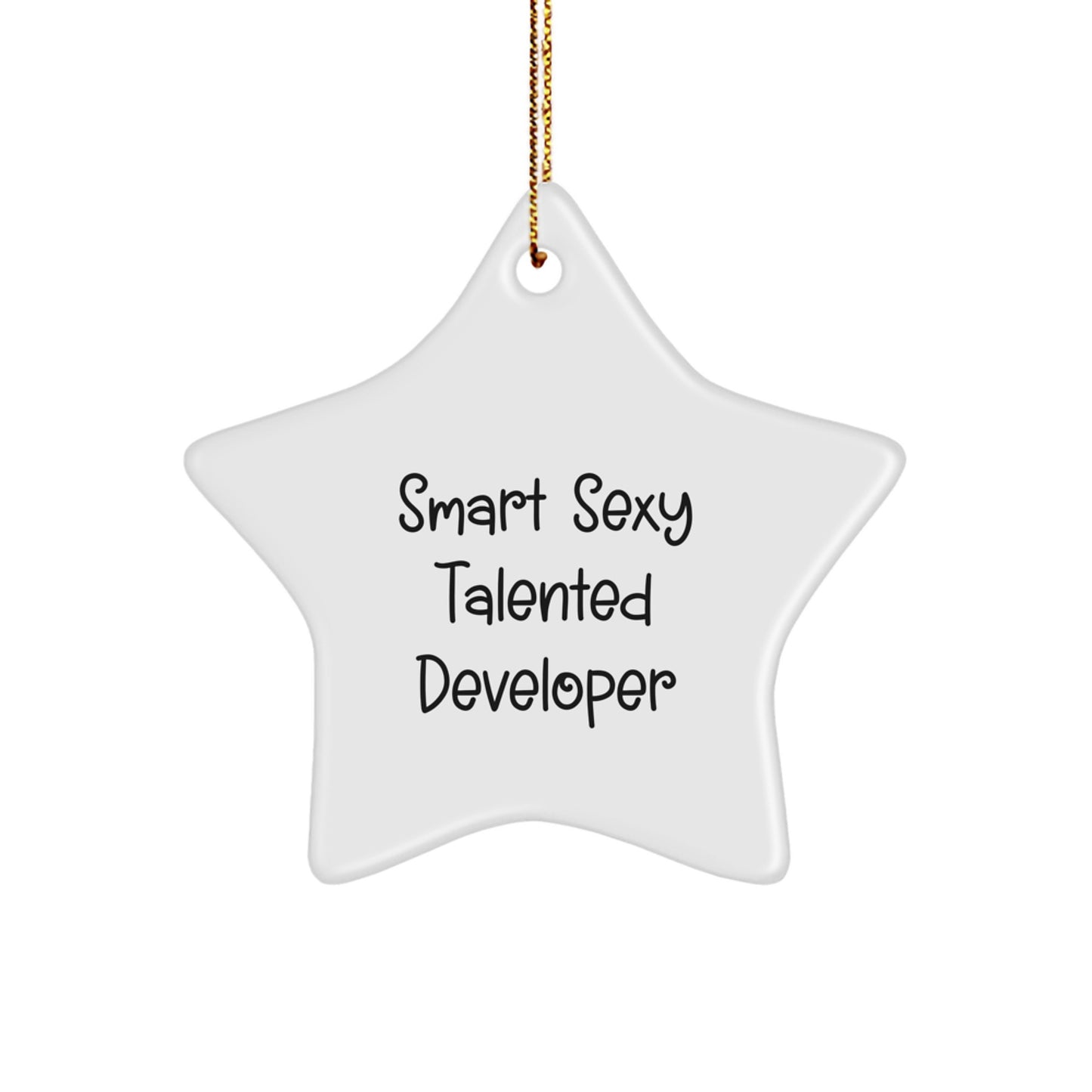 Gifts for Smart Sexy Talented Developers - Funny Star Ornament, 'Smart Sexy Talented Developer' Quote, Christmas Decorations - Image 1