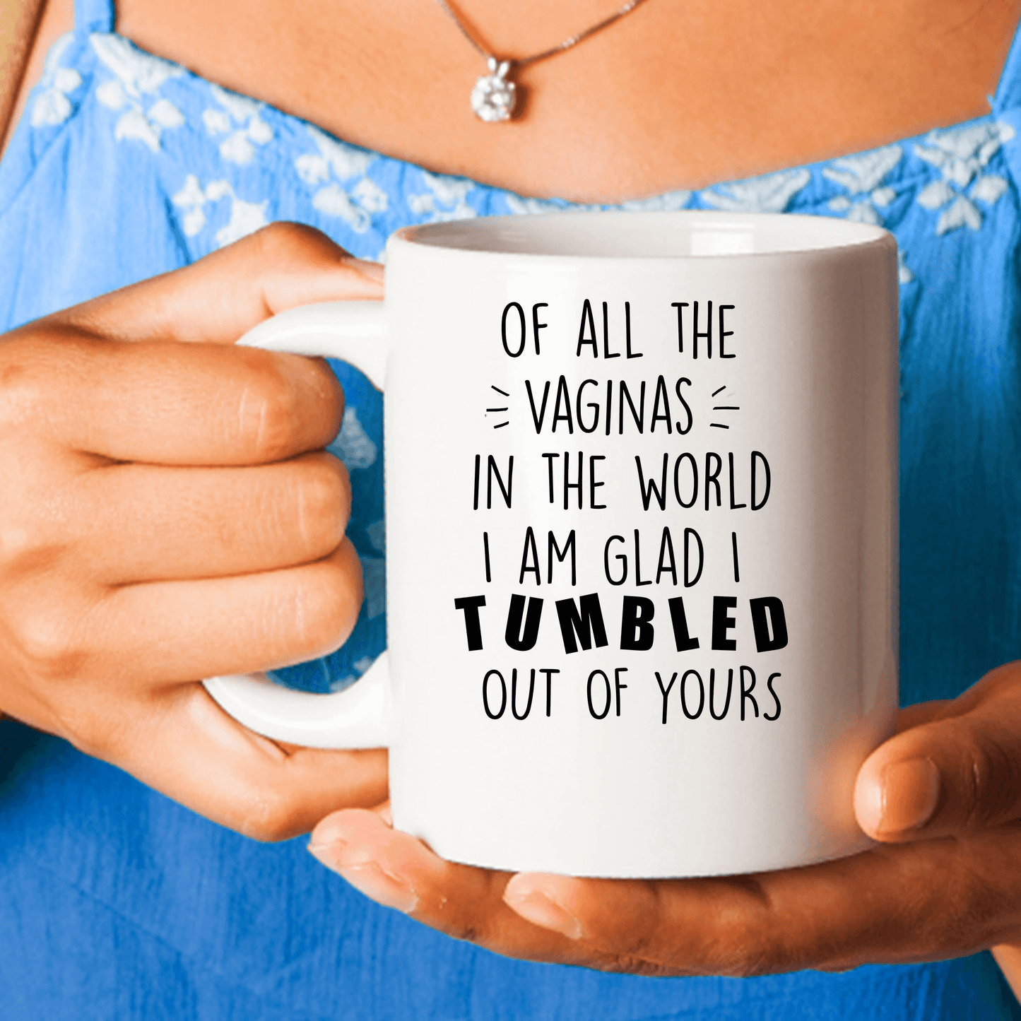 Rudely Funny Personalized Mother's Day Gift from Daughter or Son of All the Vaginas - Mallard Moon Gift Shop