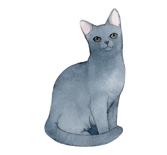 Russian Blue Cat