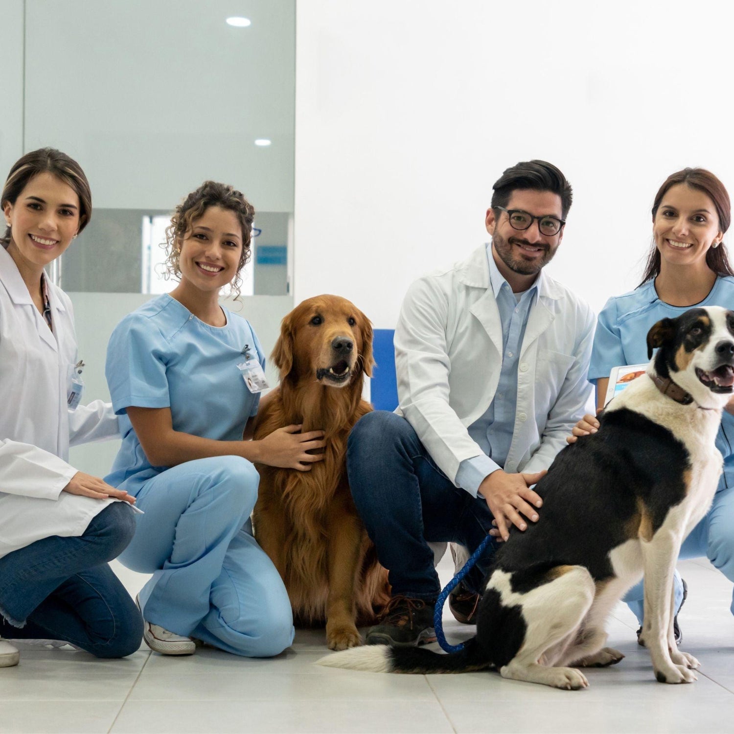 Animal Caretakers