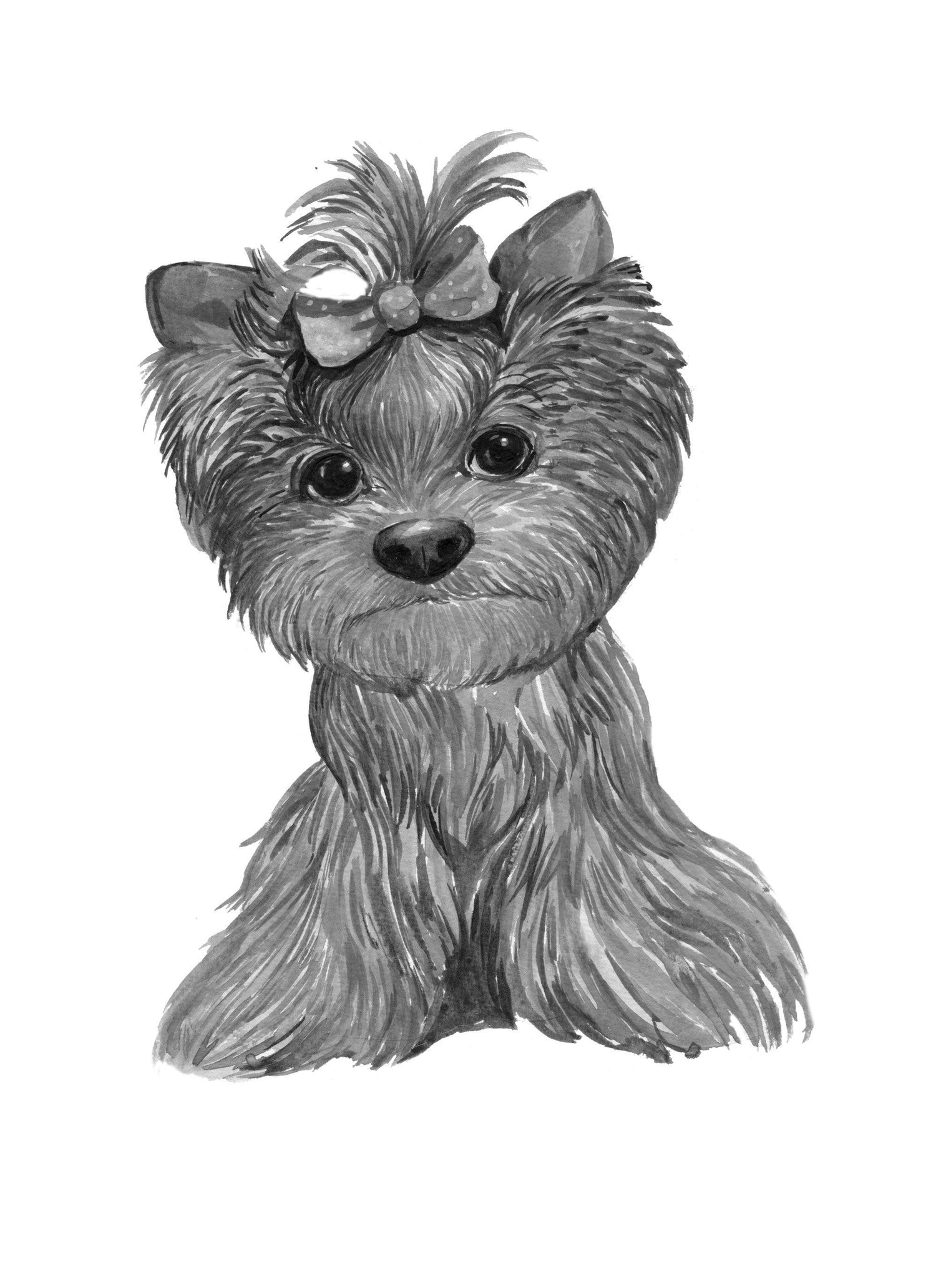 Biewer Terrier