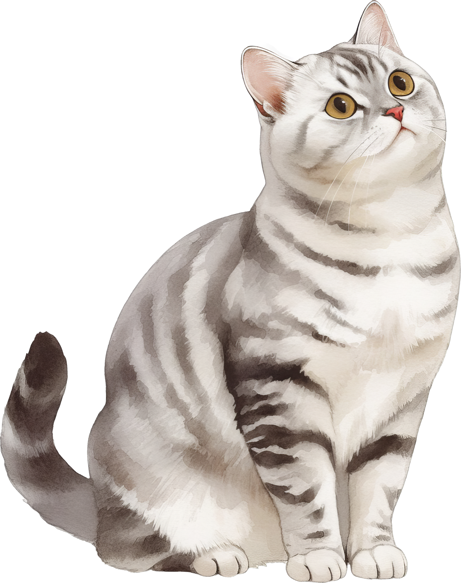 Black Coffee Mugs for American Shorthair Cat Lovers