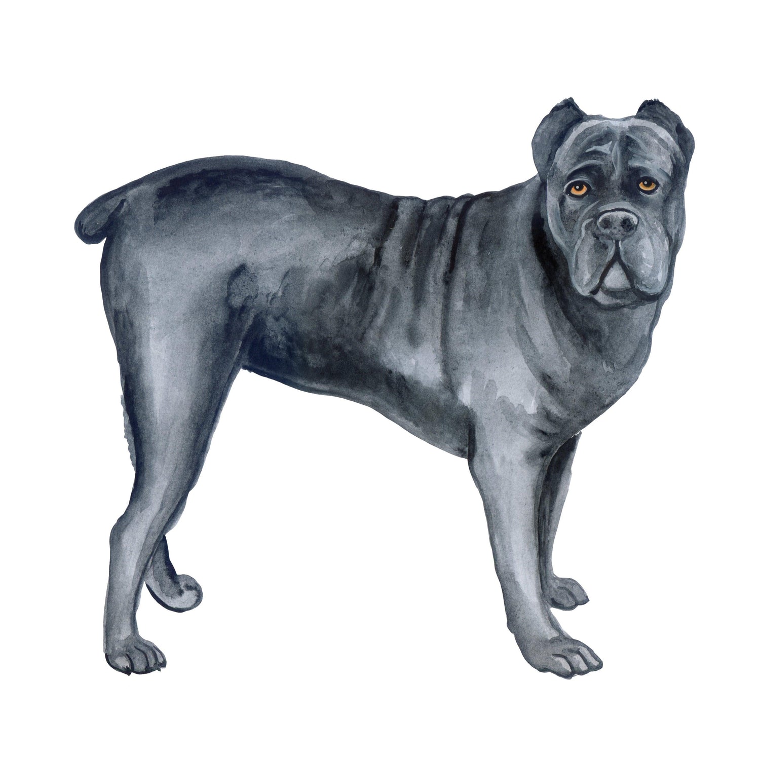 Black Coffee Mugs for Cane Corso Dog Lovers