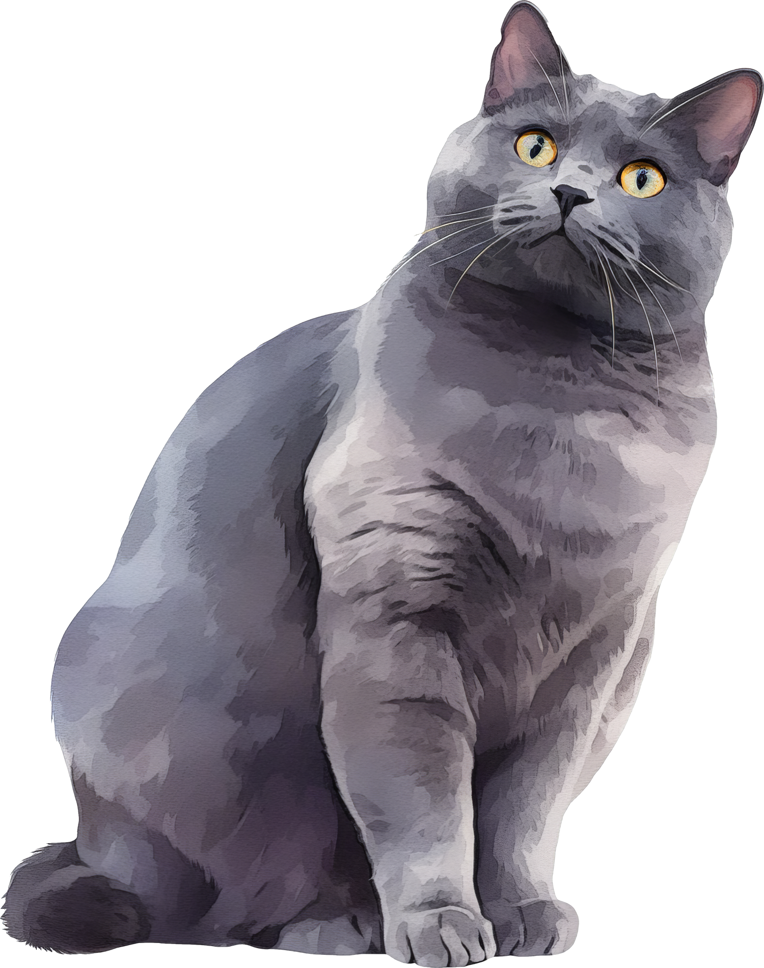 Black Coffee Mugs for Chartreux Cat Lovers
