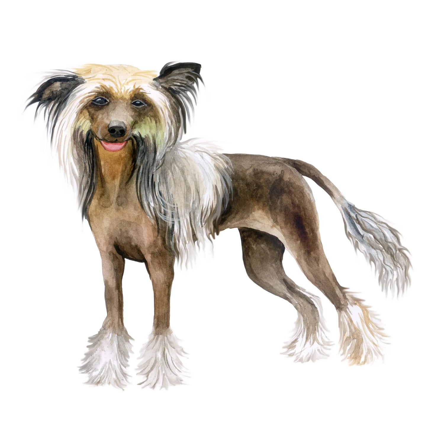 Black Coffee Mugs for Chinese Crested Dog Lovers