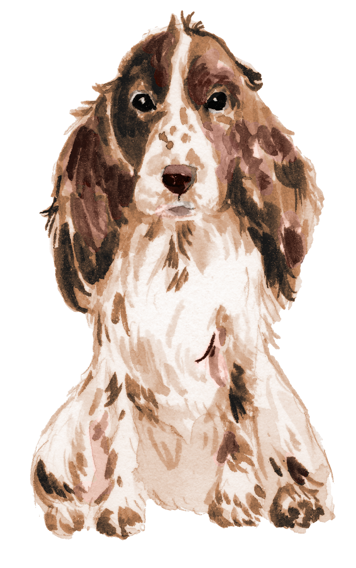 Black Coffee Mugs for Cocker Spaniel Dog Lovers