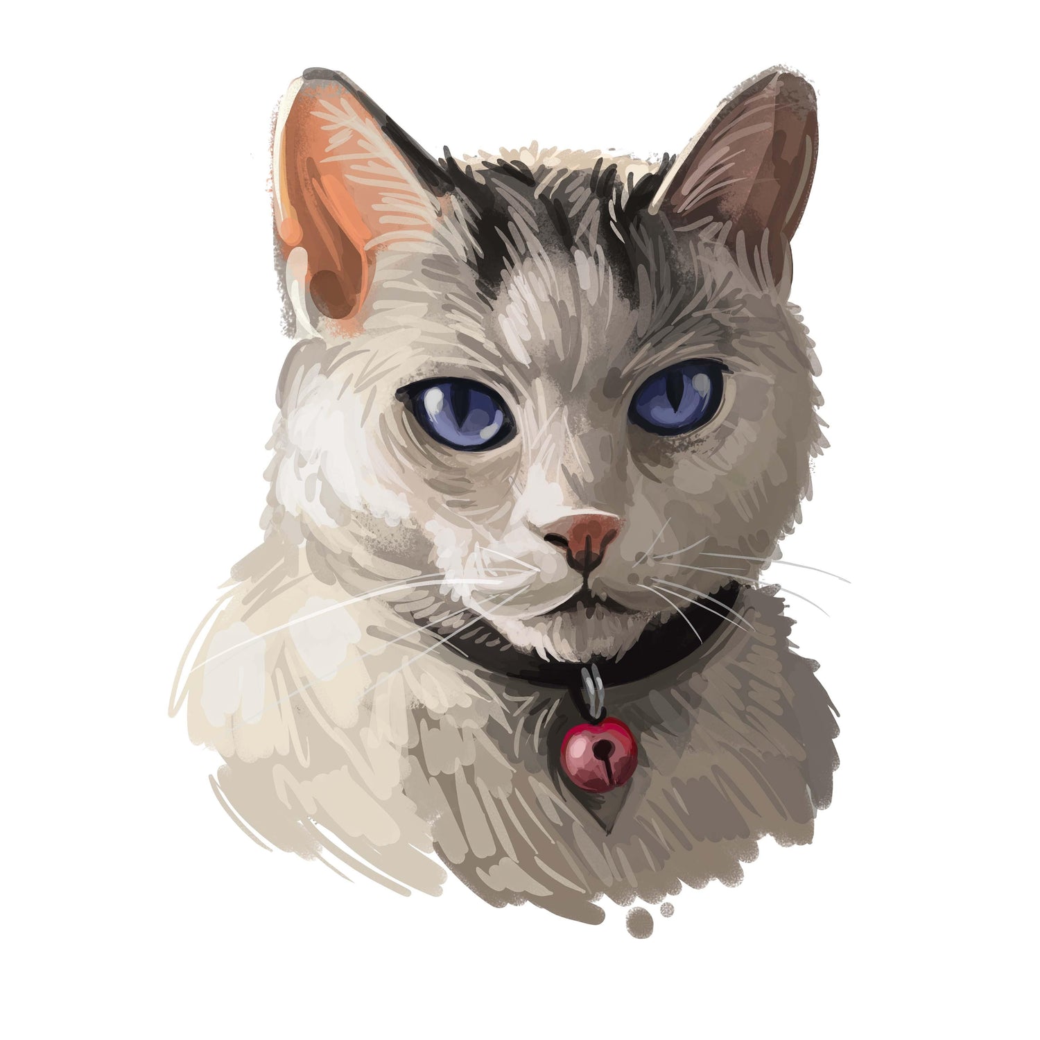 Black Coffee Mugs for Colorpoint Shorthair Cat Lovers