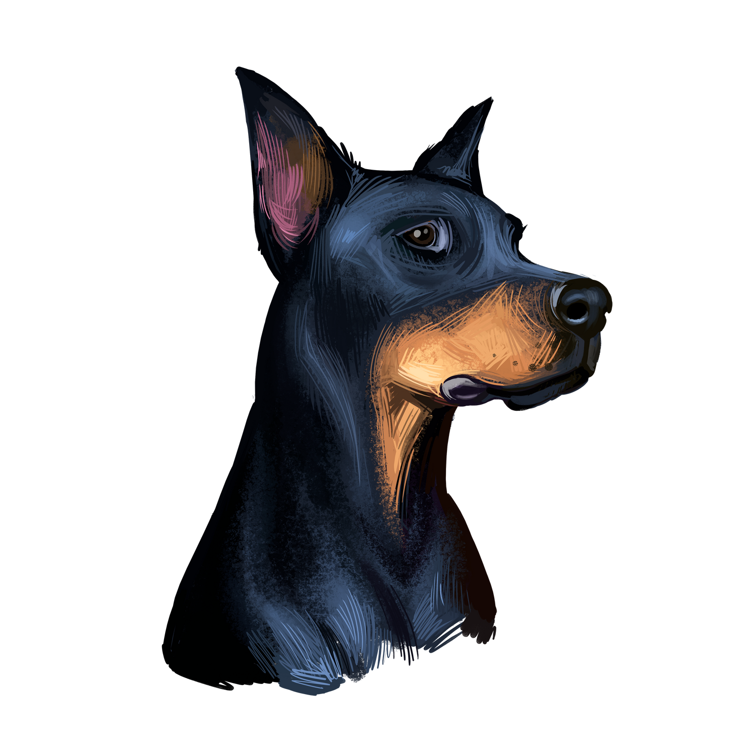 Black Coffee Mugs for Doberman Pinscher Dog Lovers