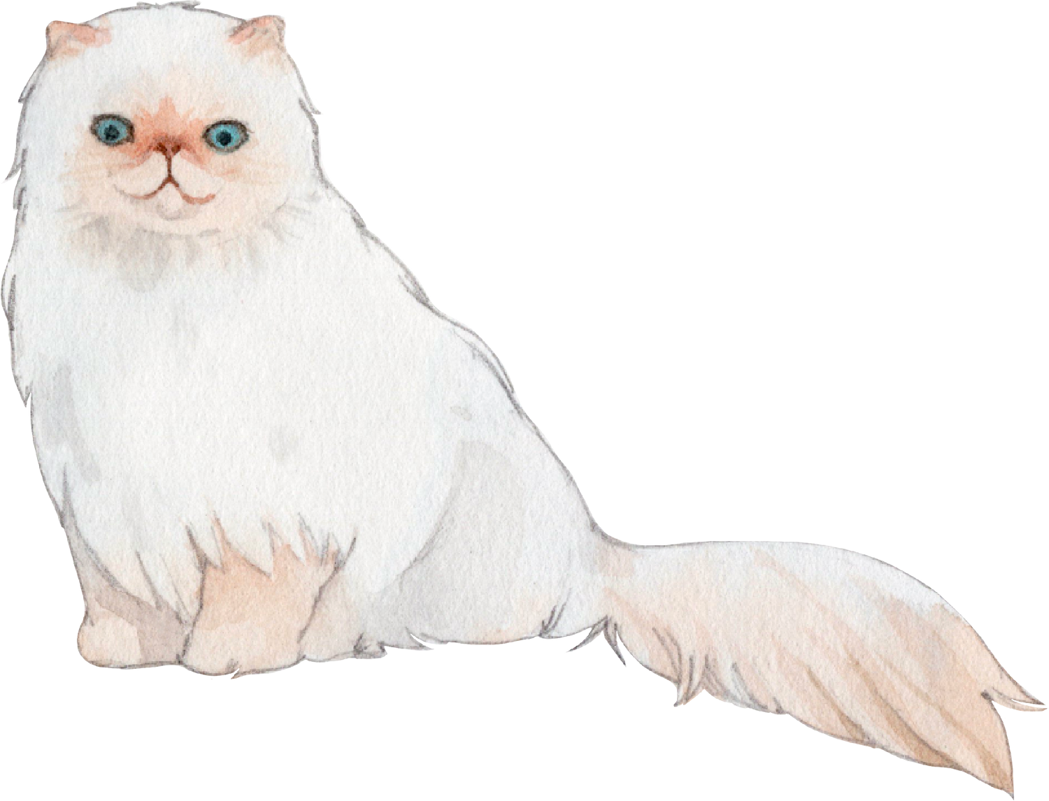 Black Coffee Mugs for Himalayan-Persian Cat Lovers