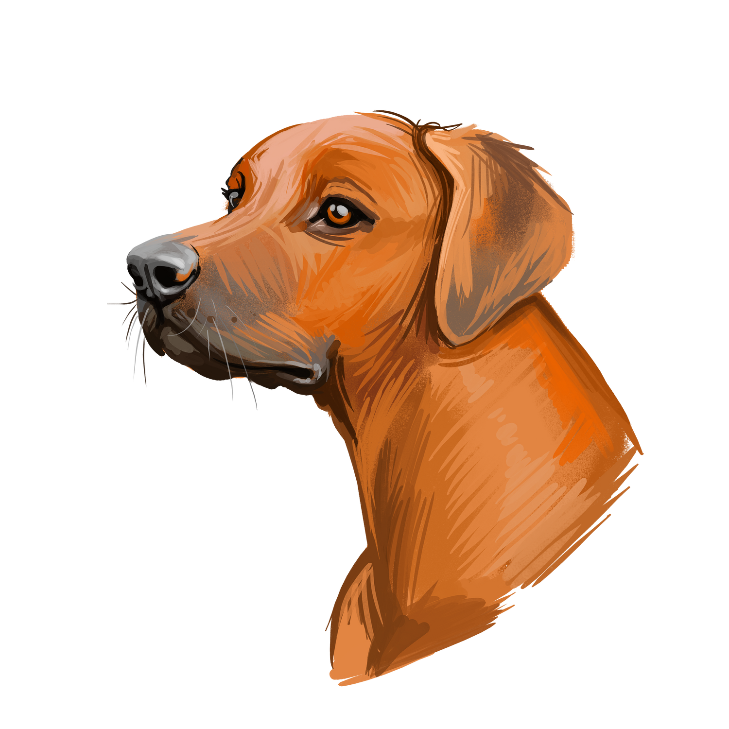 Black Coffee Mugs for Rhodesian Ridgeback Dog Lovers