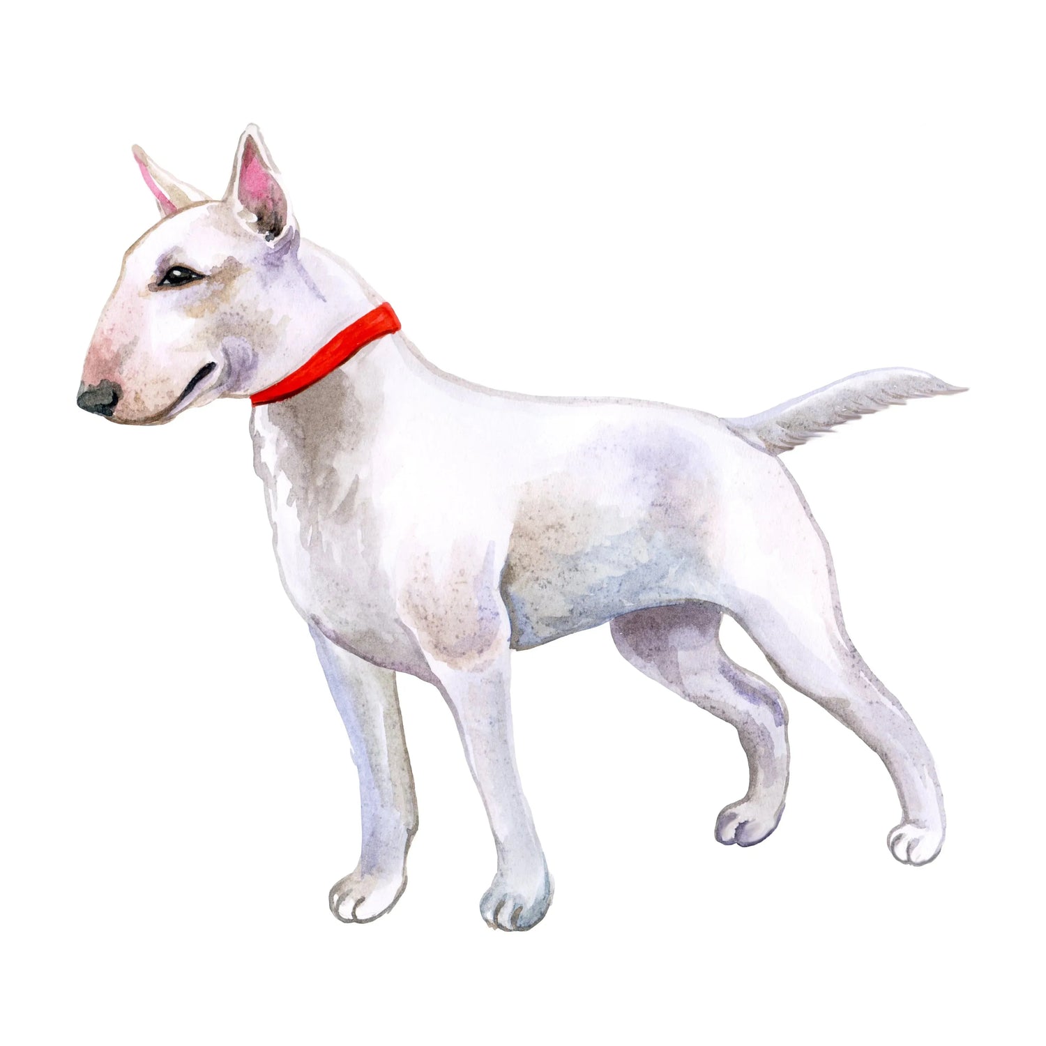 Black Coffee Mugs for Staffordshire Bull Terrier Dog Lovers