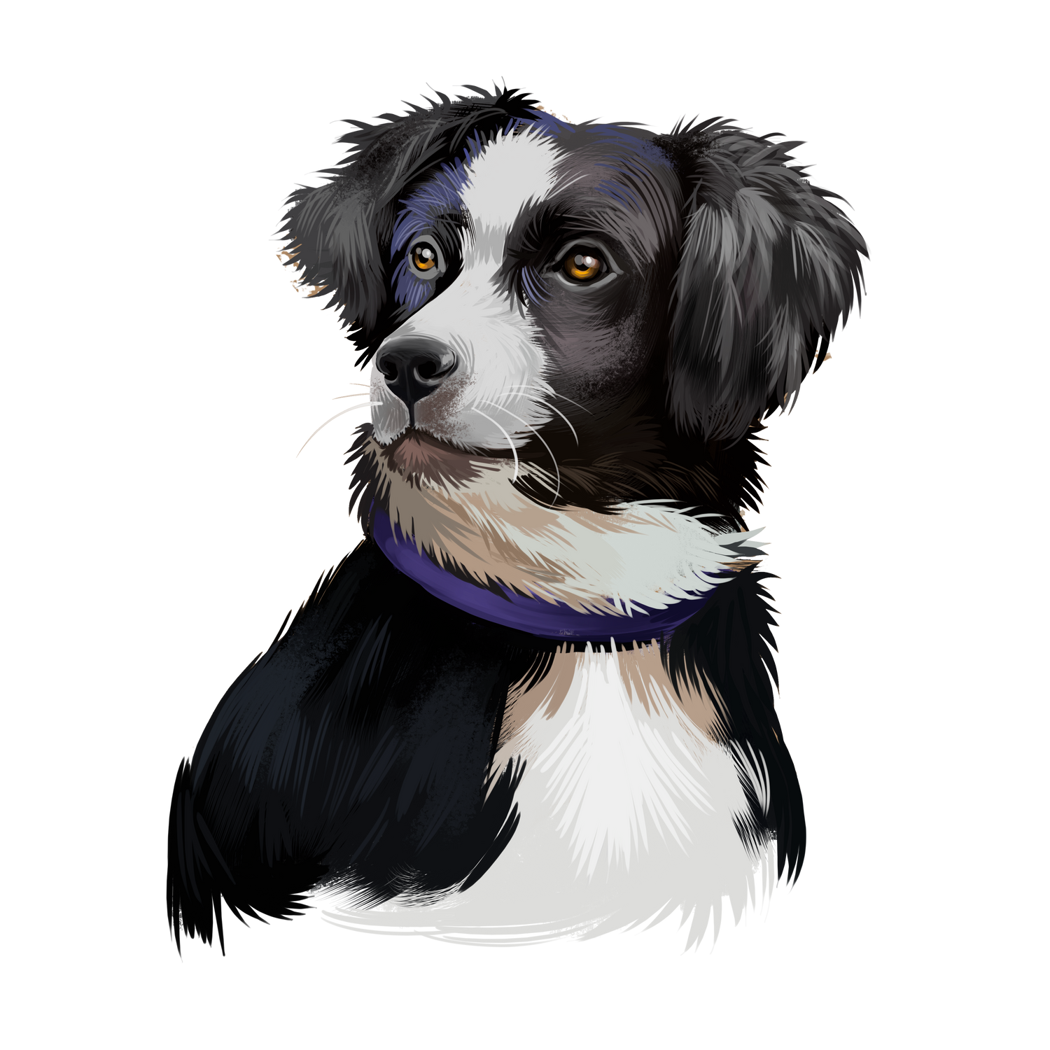 Bracelets for Australian Shepherd Dog Lovers
