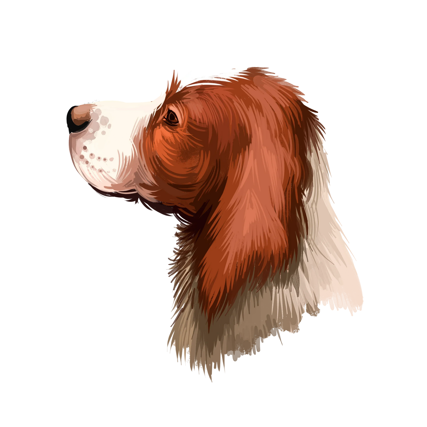 Bracelets for English Setter Dog Lovers