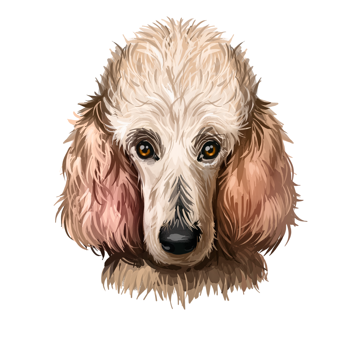 Bracelets for Poodle Dog Lovers