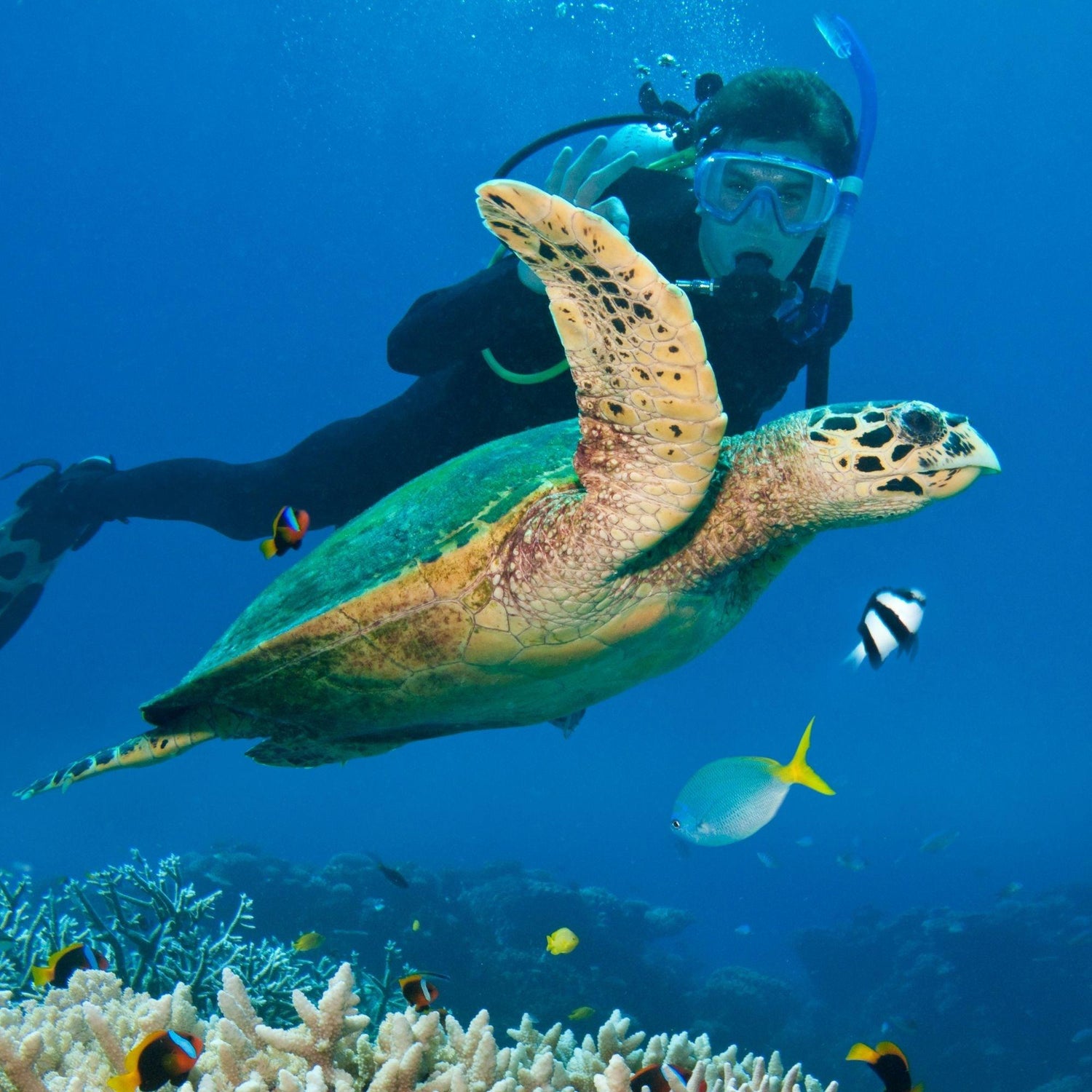 Bracelets for Scuba Diving Enthusiasts