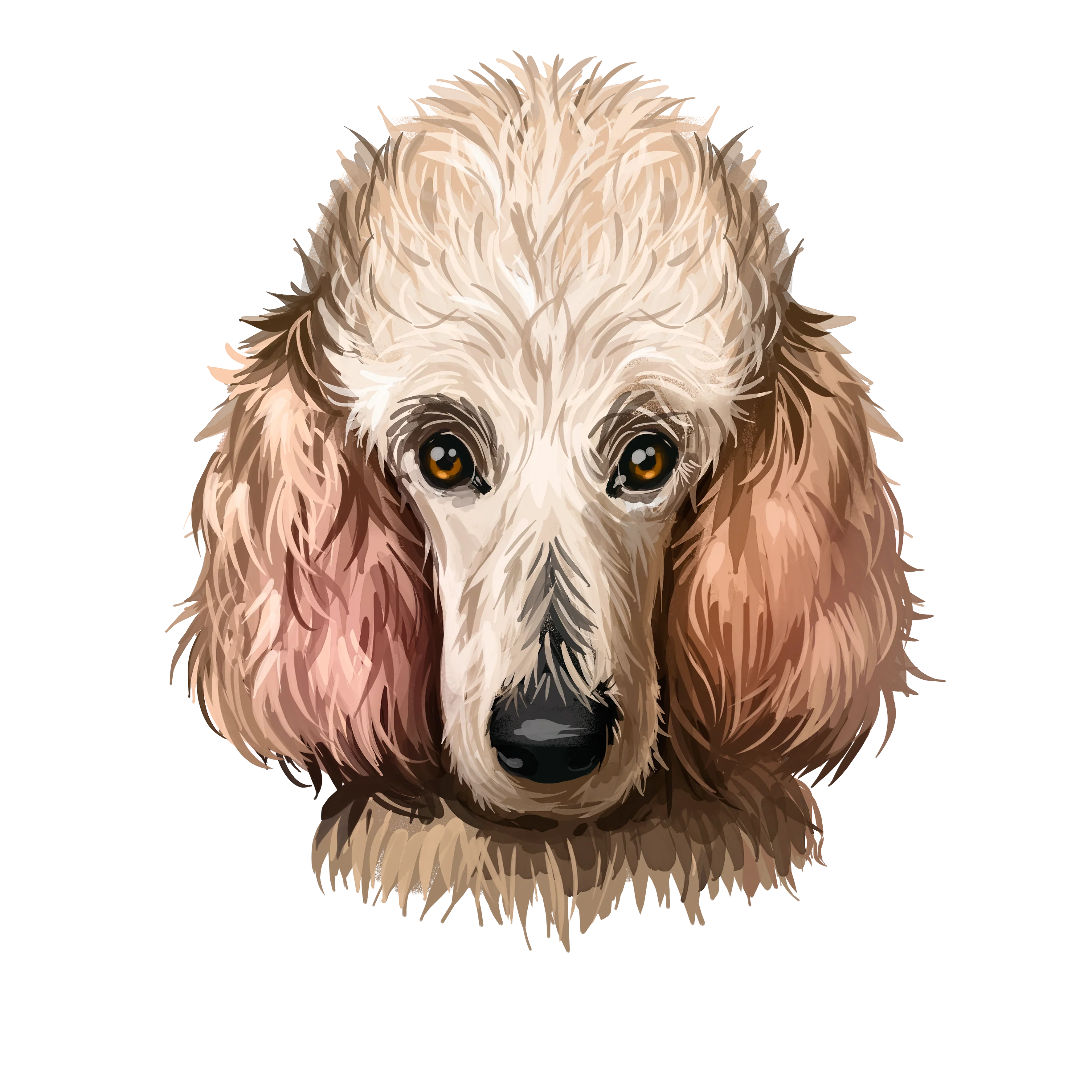 Poodle Dog