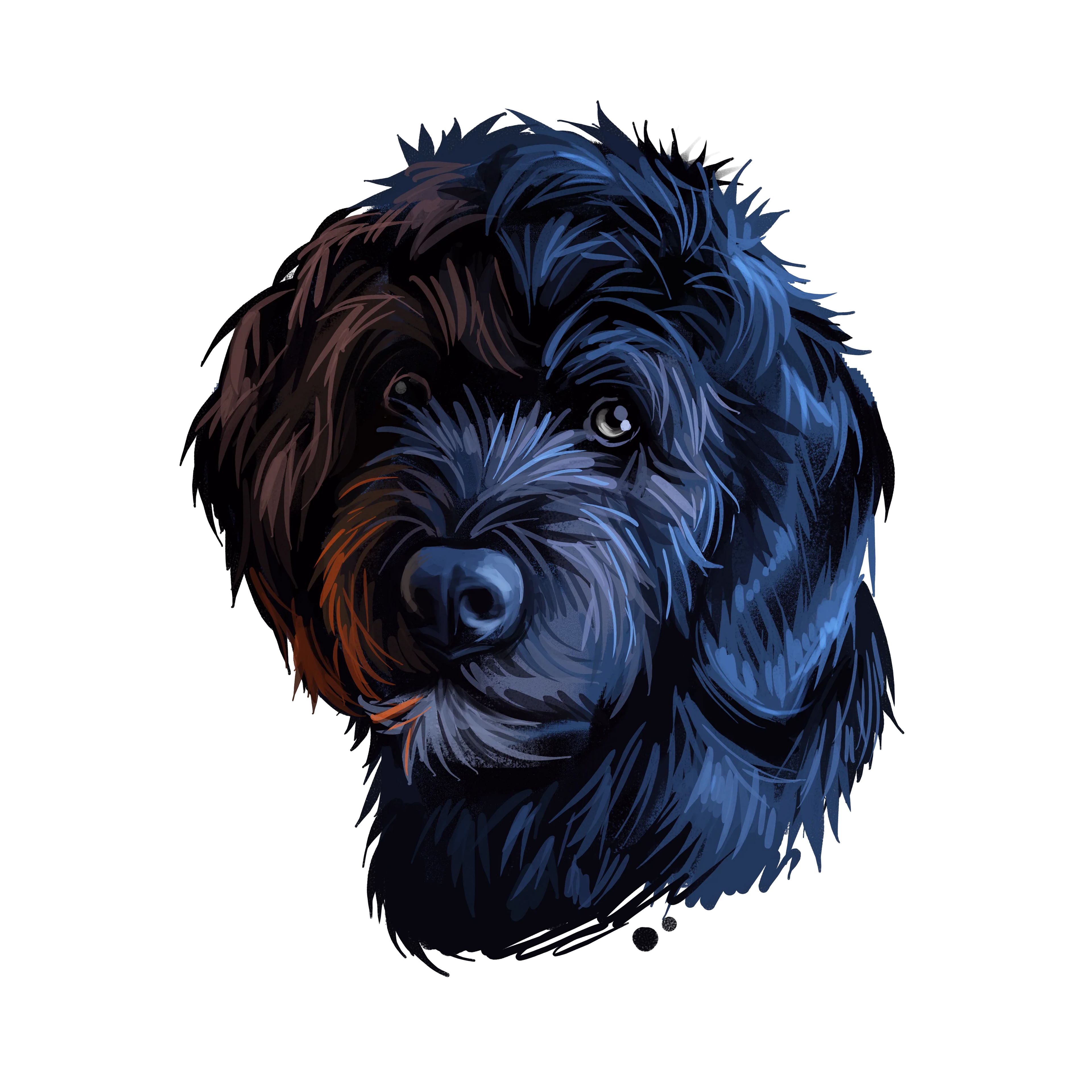 Portuguese Water Dog