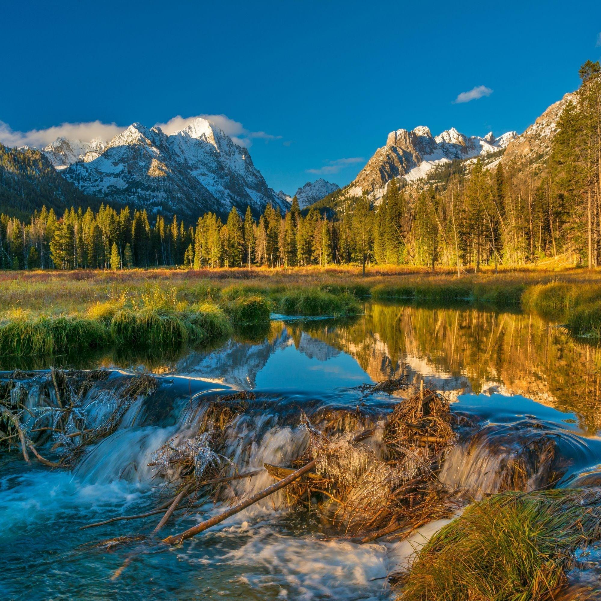 Idaho Gifts