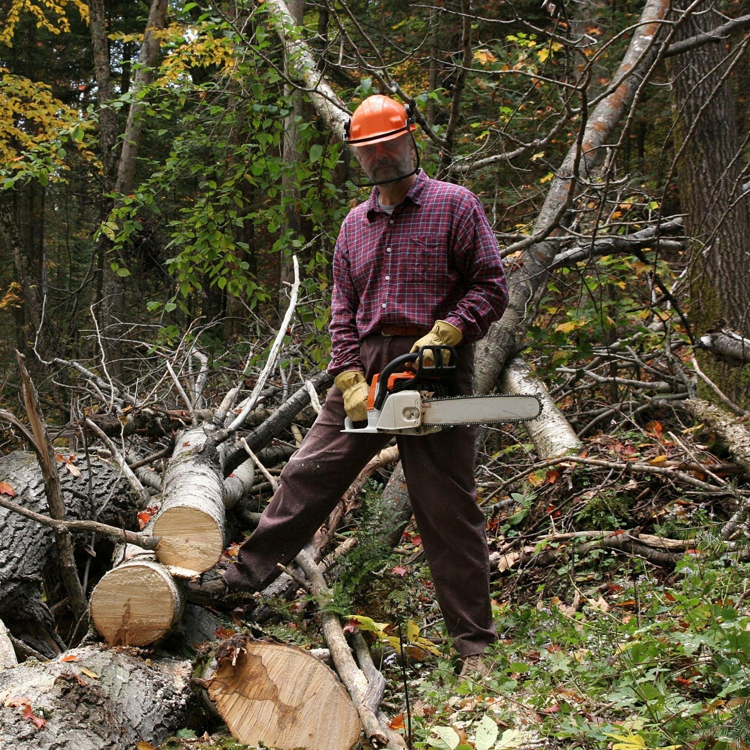Black Coffee Mugs for Loggers