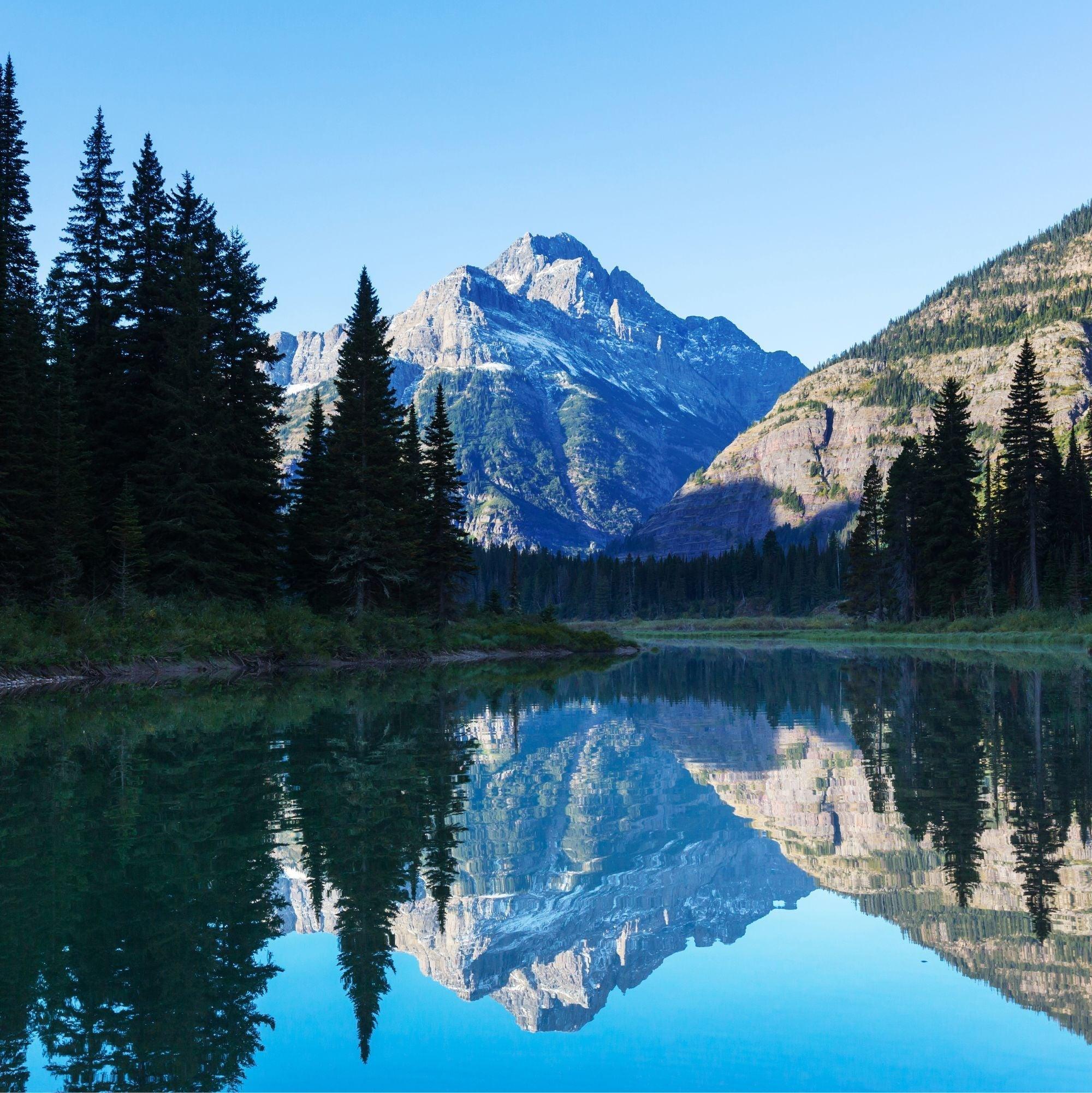 Montana Gifts