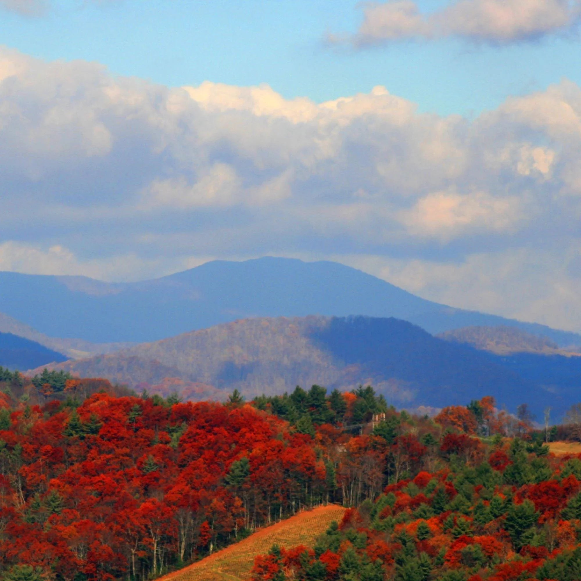 North Carolina Gifts