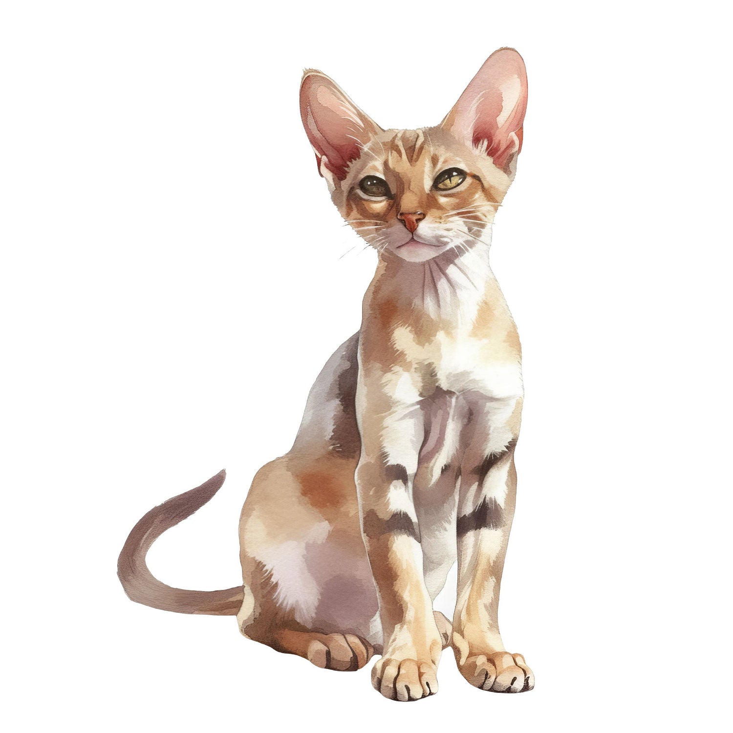 Black Coffee Mugs for Oriental Shorthair Cat Lovers