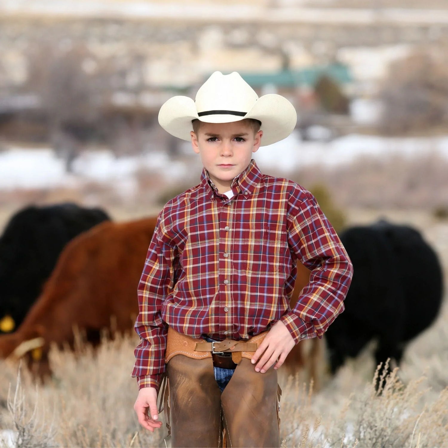 Bracelets for Ranchers