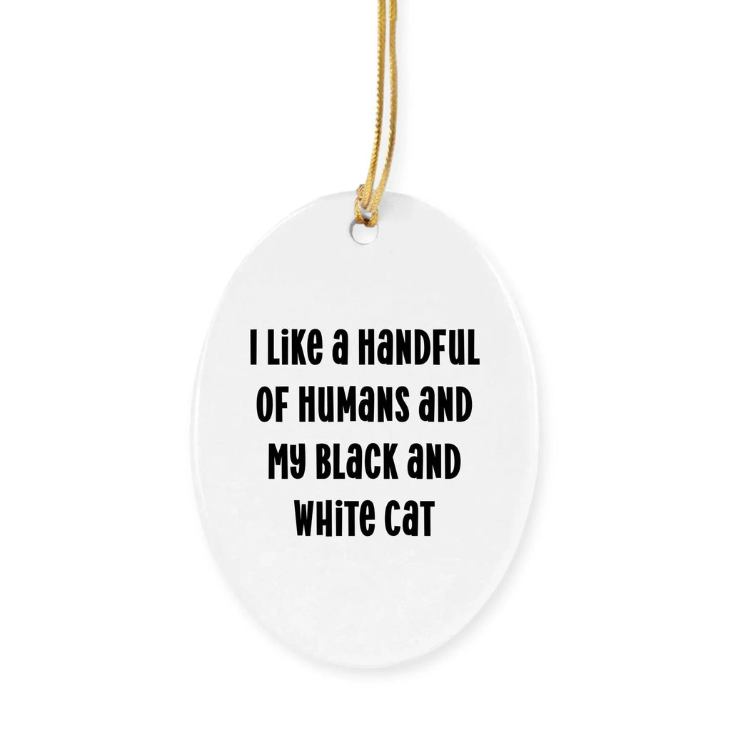 Funny Black and White Cat Christmas Ornaments- I Like A Handful Of Humans And My Black And White Cat