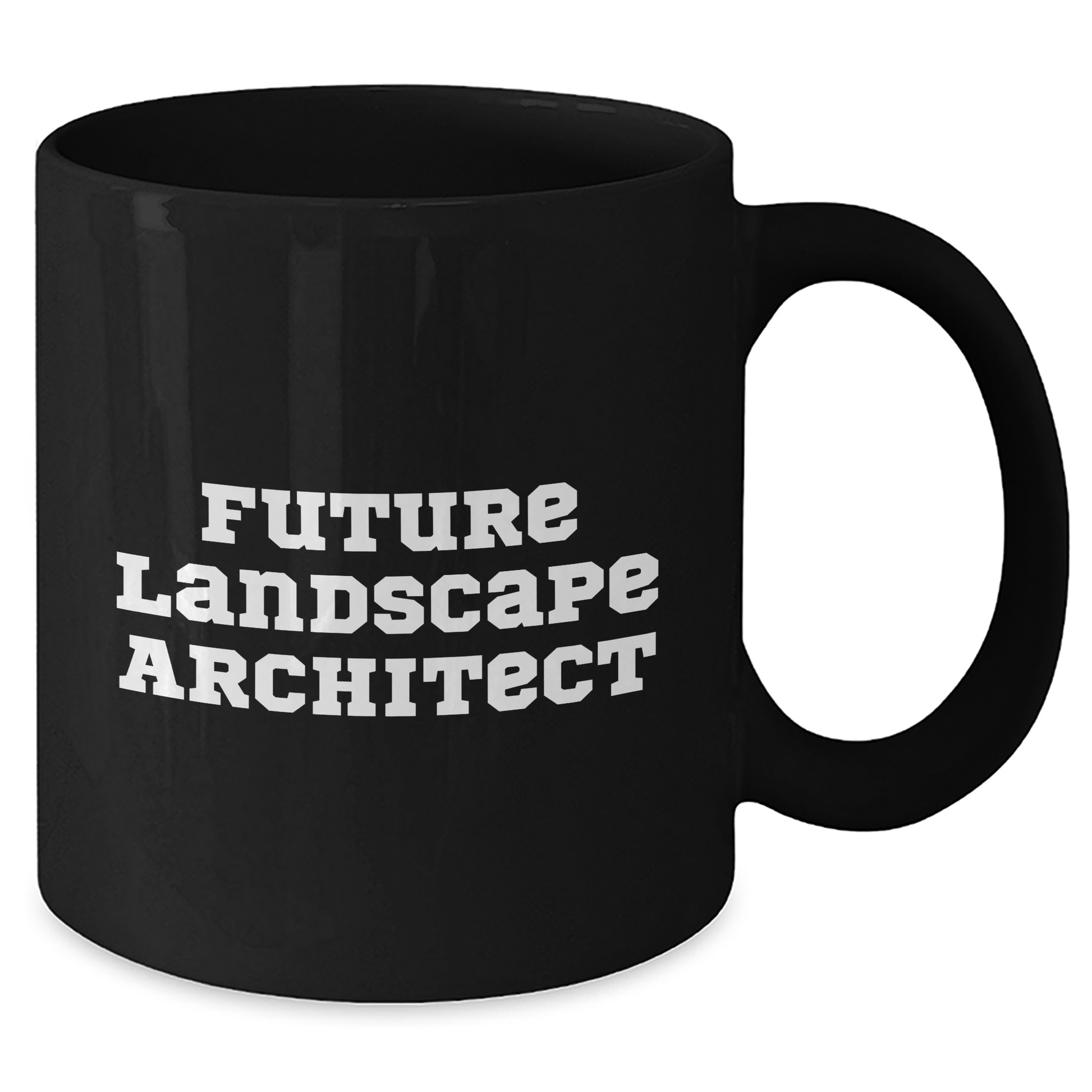 Funny Future Landscape Architect Gifts from Men - Black Coffee Mug for Mother's Day, 'Future Landscape Architect' Quote, Landscape Architect Unique Gifts - Additional