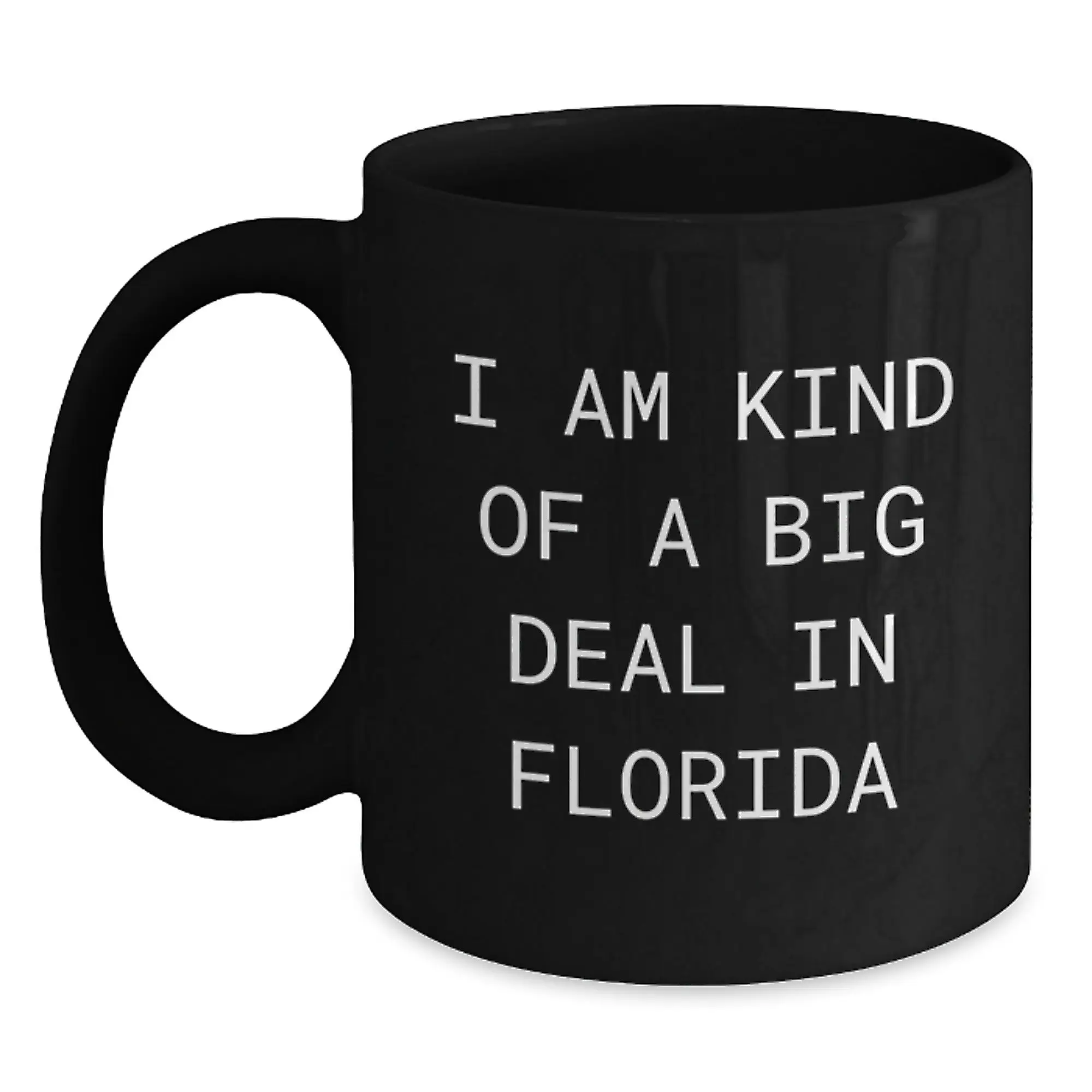 Florida Novelty Silly Black Coffee Mug for Friends – Birthday Gift - Main