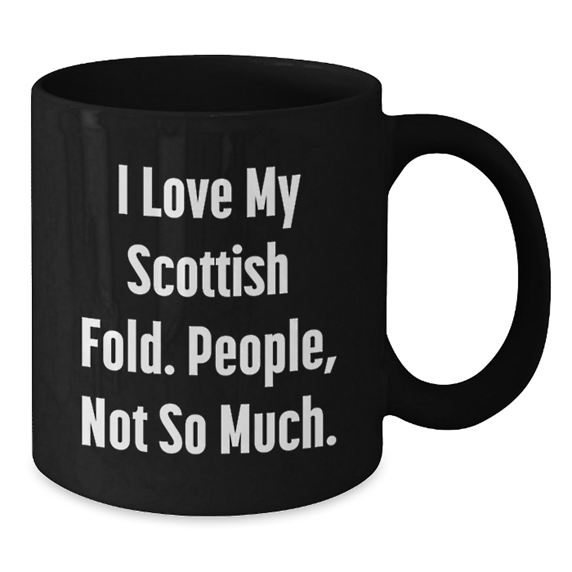 Scottish Fold Cat Lovers Funny Gifts from Friends to Family Birthday Unique Scottish Fold Cat Mugs - Additional