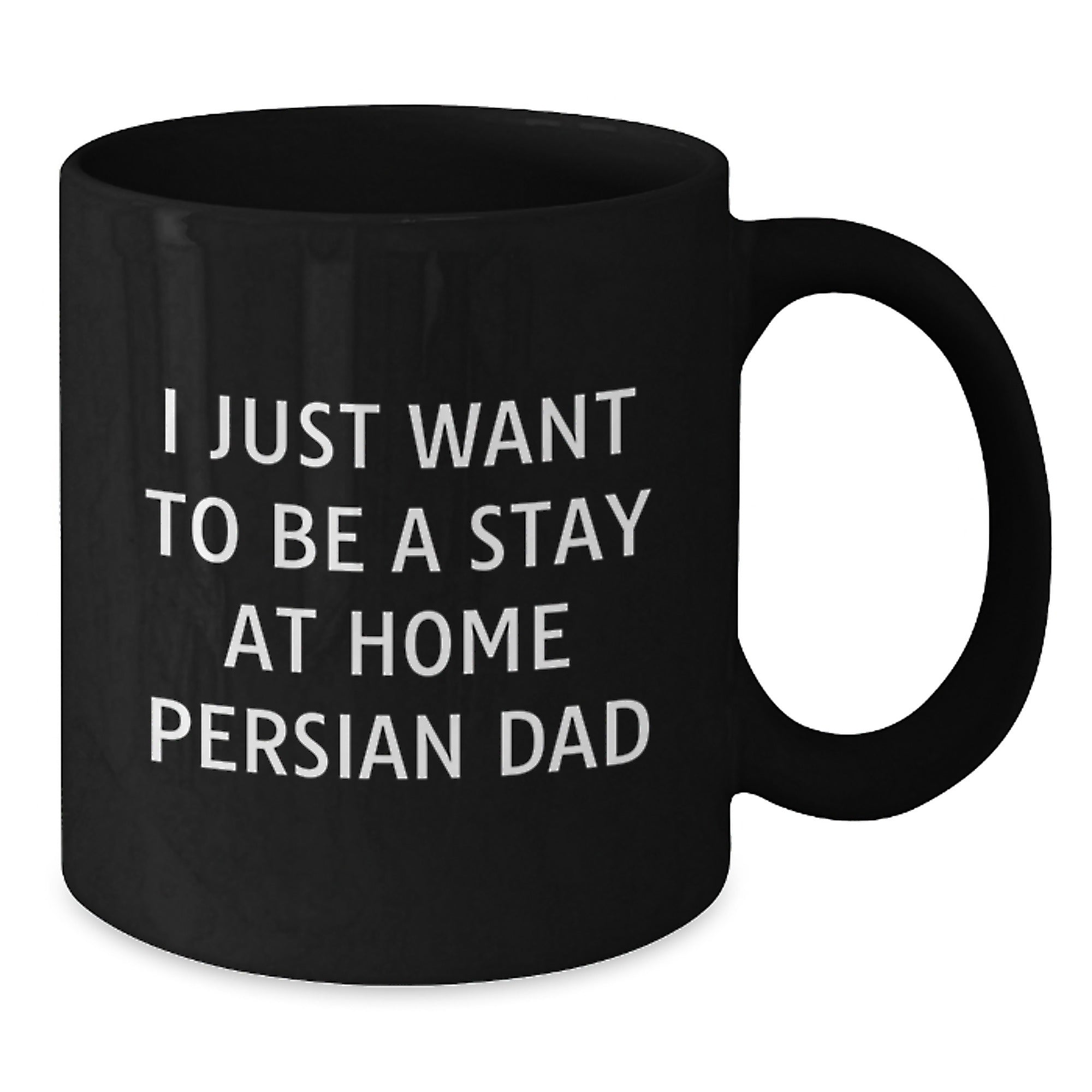 Funny Stay at Home Dad Gifts for Persian Cat Lovers, Christmas Unique Mugs from Men to Friends, Black Coffee Mug with Humorous Quote - Additional