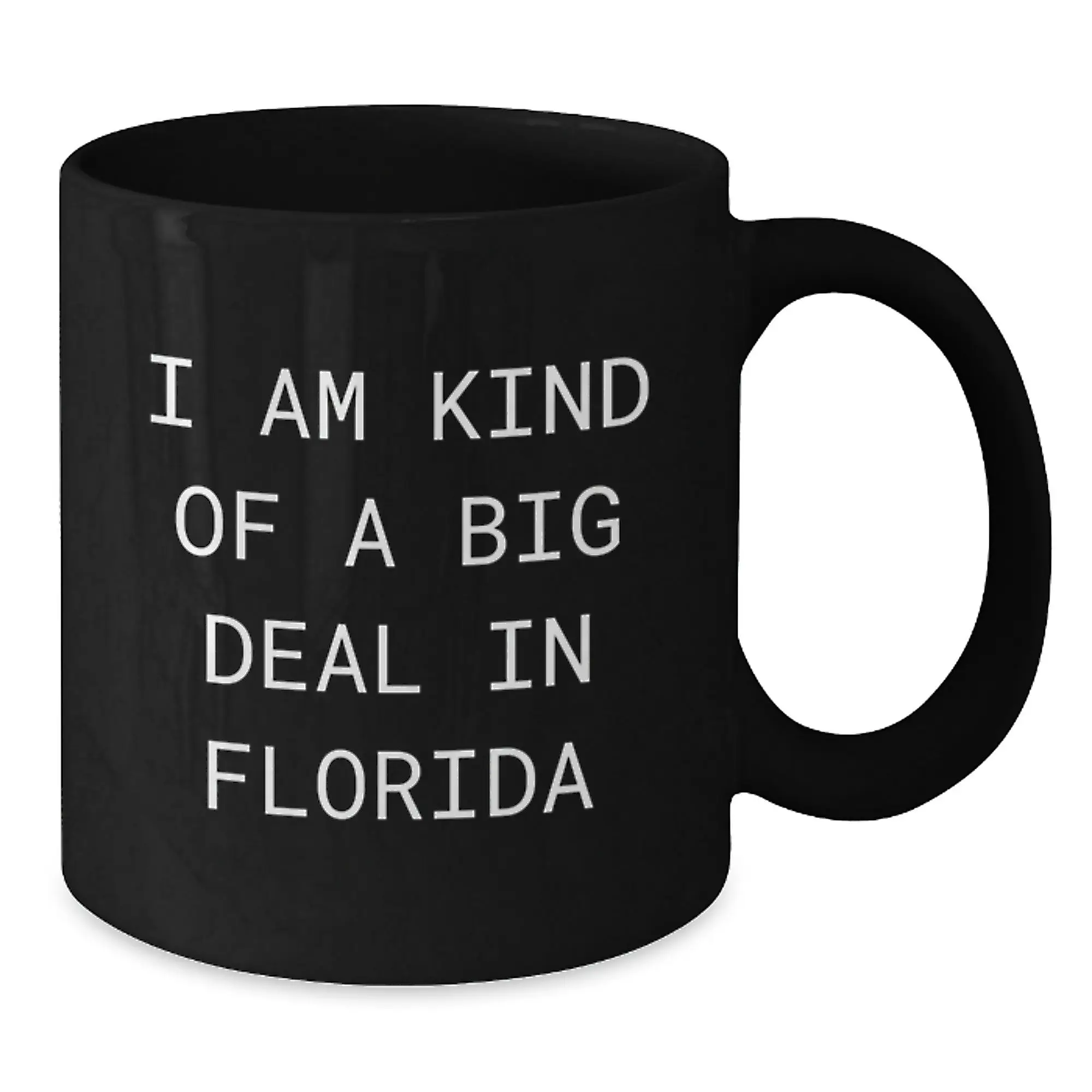 Florida Novelty Silly Black Coffee Mug for Friends – Birthday Gift - Additional