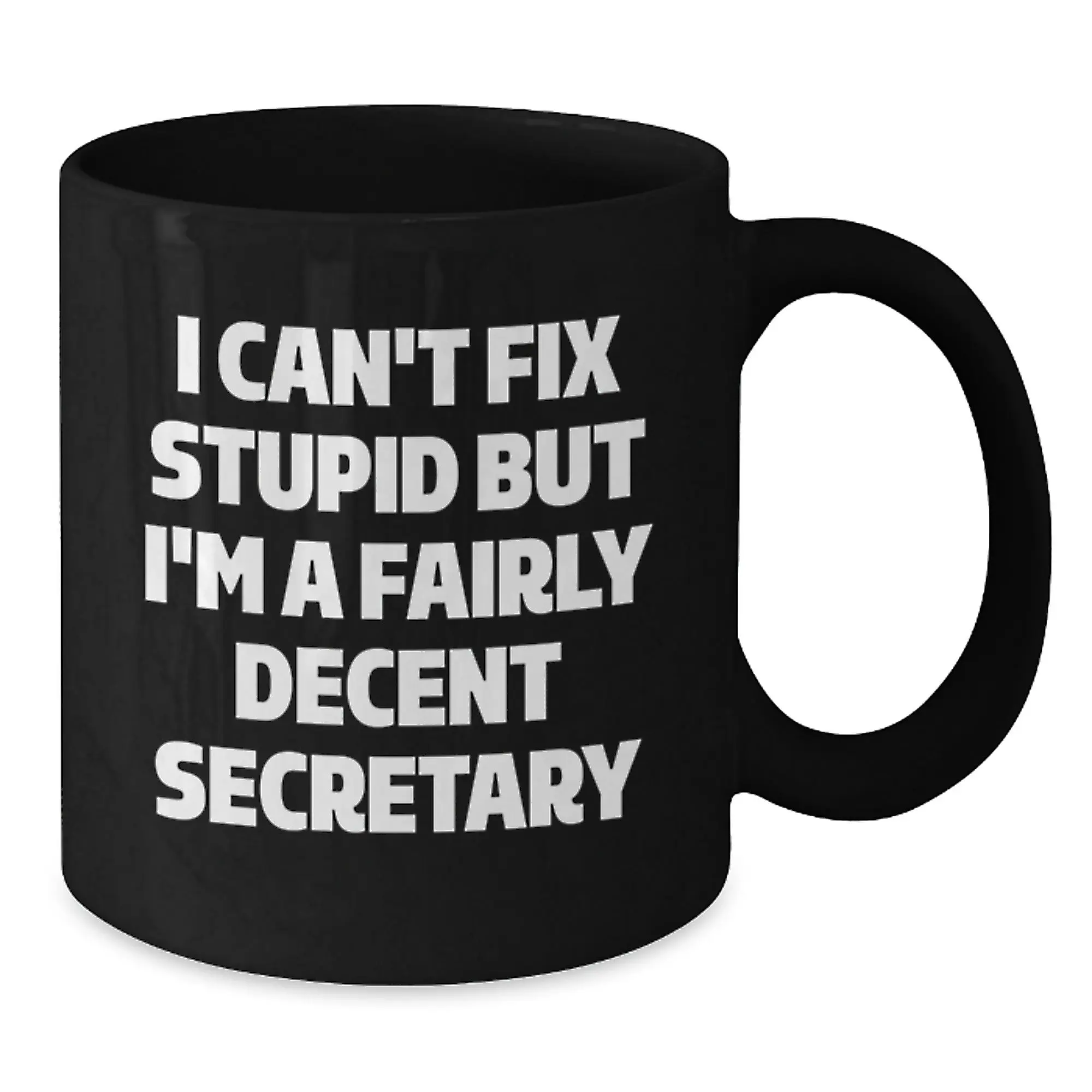 Funny Secretary Gifts from Friends, Birthday Unique Gifts for Secretary, Secretary Black Coffee Mug - I Can't Fix Stupid But I'm A Fairly Decent Secretary - Additional
