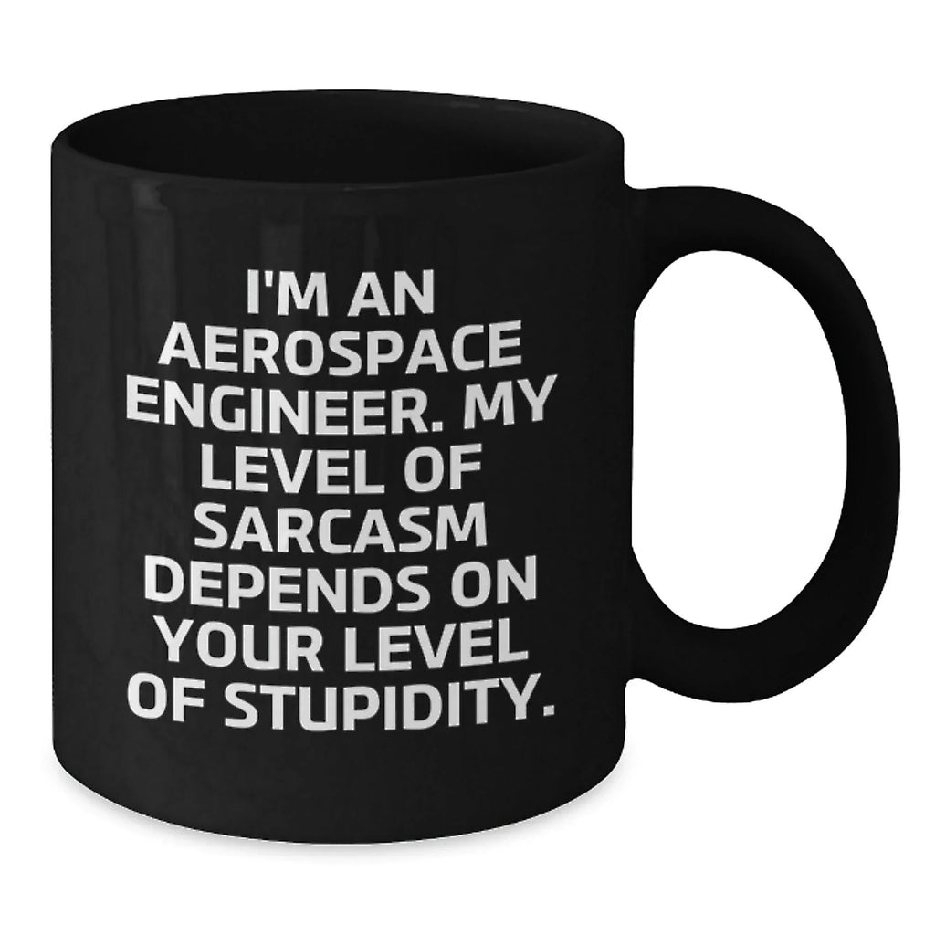 Funny Gifts for Aerospace Engineers, Unique Black Coffee Mugs, Sarcastic Christmas Memorable Presents from Friends and Family