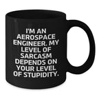 Funny Gifts for Aerospace Engineers, Unique Black Coffee Mugs, Sarcastic Christmas Memorable Presents from Friends and Family